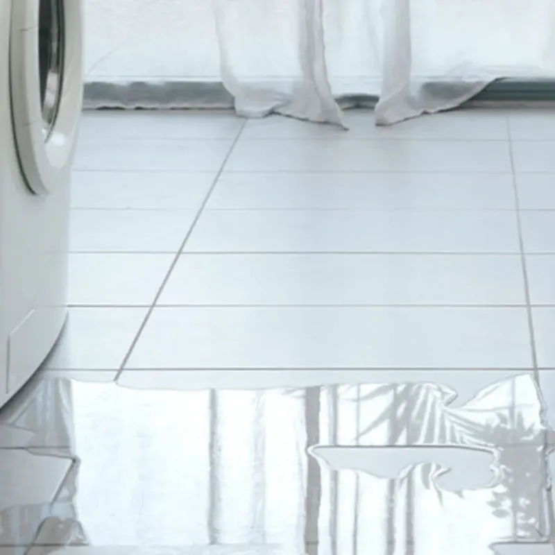 Appliance Leak Cleanup in Holgate, OH