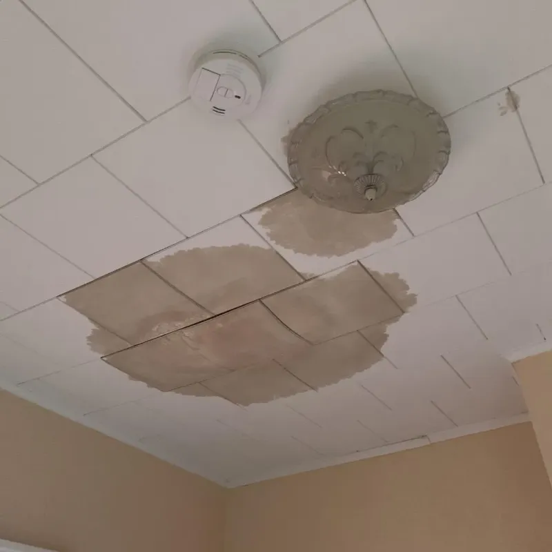 Ceiling Water Damage Repair in Holgate, OH