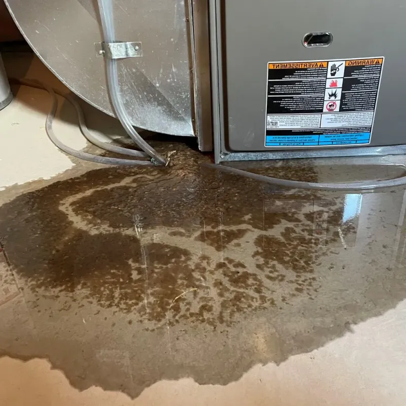 Pipe Burst and Leak Restoration in Holgate, OH
