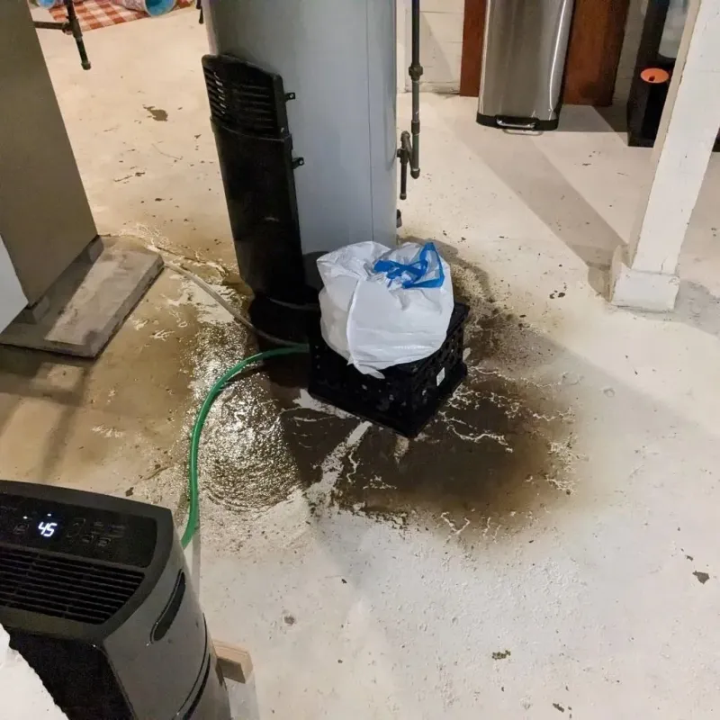 Sewage Backup Cleanup Service in Holgate, OH